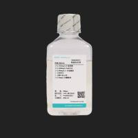 普诺赛 DMEM/F12（不含酚红）PM150316