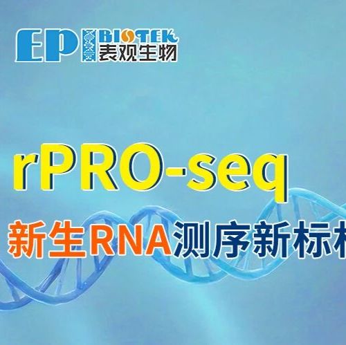 rPRO-seq,新生RNA测序新标杆!流程加速,更低样本量