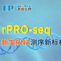 rPRO-seq,新生RNA测序新标杆!流程加速,更低样本量