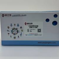 外泌体提取试剂盒（血浆/血清）基础版