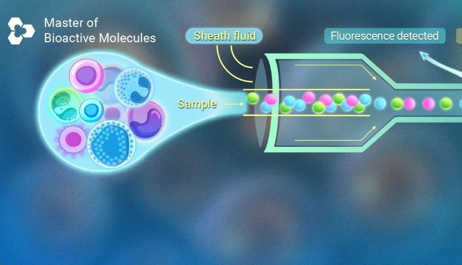 细胞实验必读：流式细胞技术的实验设计及流程详解 | MCE