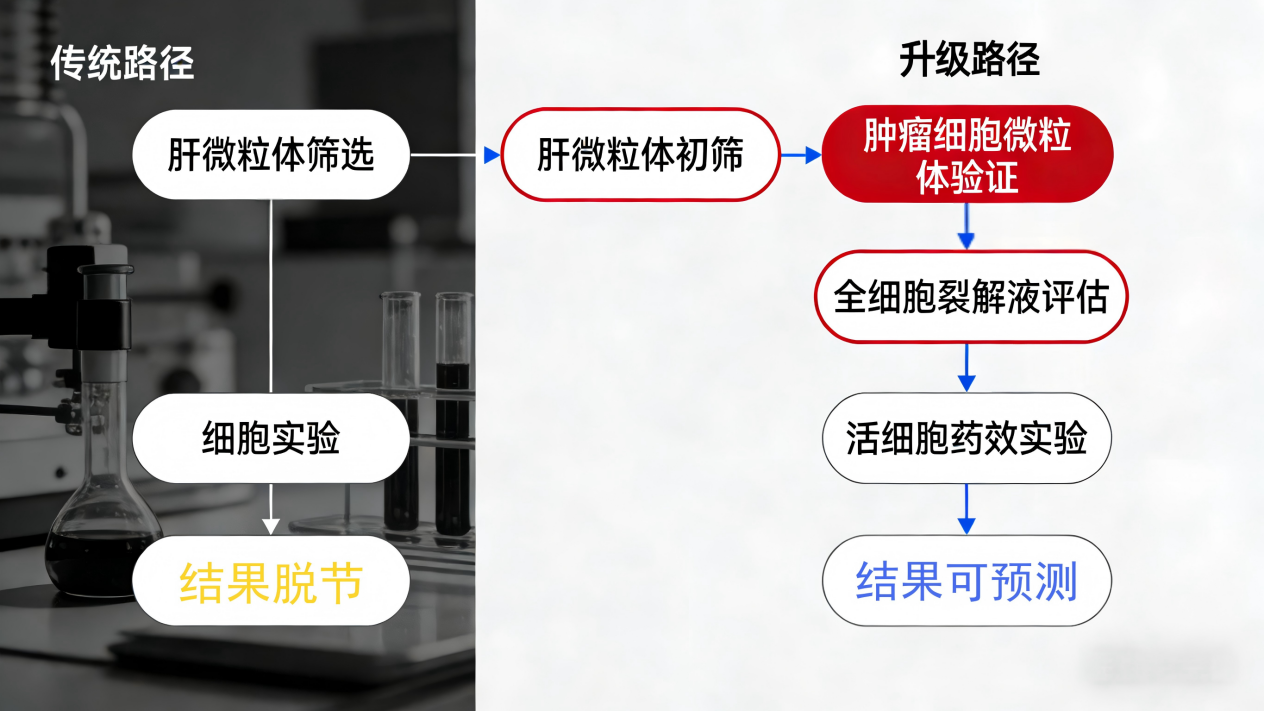 代谢π析（三）——肿瘤细胞微粒体，容易被忽略的代谢战场