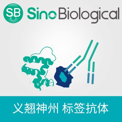 抗V5 Tag抗体, 鼠单抗, 克隆号01