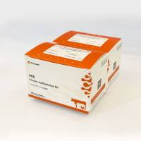 非洲猪瘟病毒(p72基因/CD2v基因/MGF基因)三重实时荧光PCR检测试剂盒