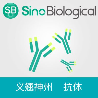 产品封面图