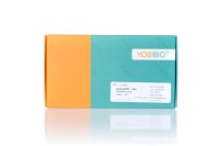 Calcein-AM/PI活死细胞染色试剂