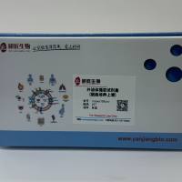 外泌体提取试剂盒（细胞上清）基础版