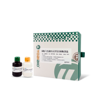 极敏(飞克级)ECL化学发光检测试剂盒