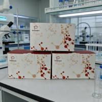 亚硝酸还原酶（Nitrite reductase，NiR）试剂盒（分光光度法）