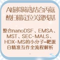 AI虚拟筛选结合丙氨酸扫描定位关键残基：整合nanoDSF、EMSA、MST、SEC-MALS、HDX-MS的小分子–靶蛋白精准互作全流程解析