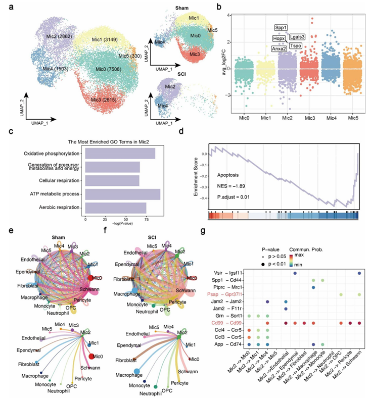 6390589679830250995882151