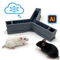 AI大小鼠Y迷宫精细行为分析系统