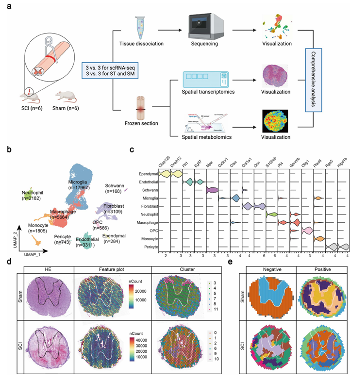 6390589669233398205985272
