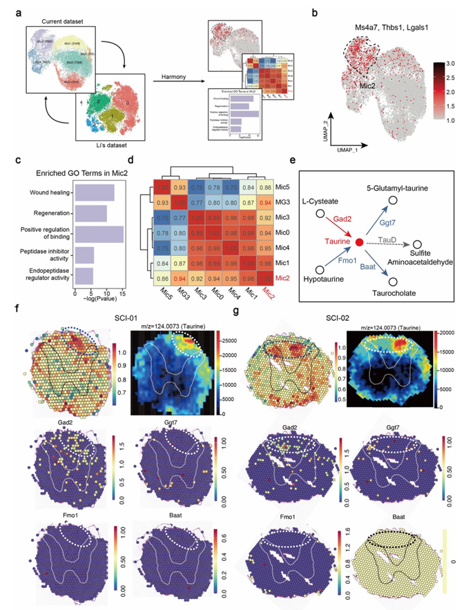 6390589681734713801610278