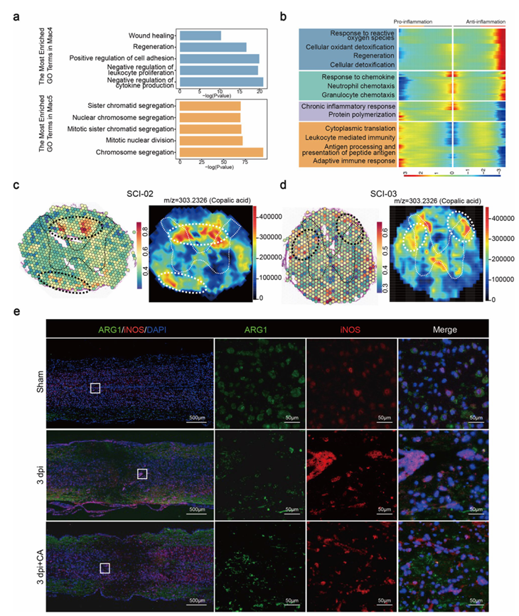 6390589684703551565671704