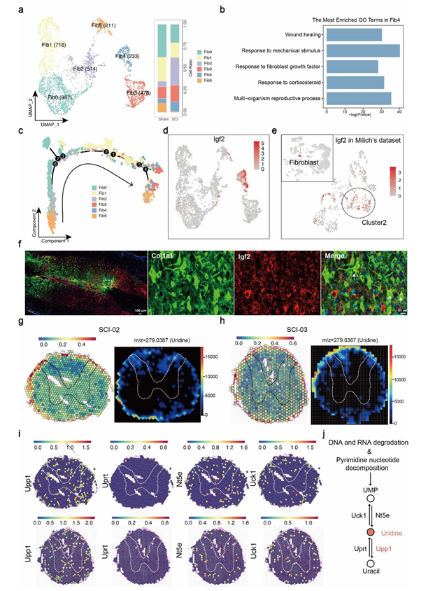 6390589685852209596947530