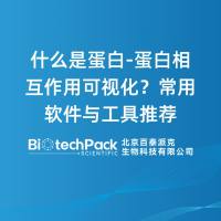 什么是蛋白-蛋白相互作用可视化？常用软件与工具推荐