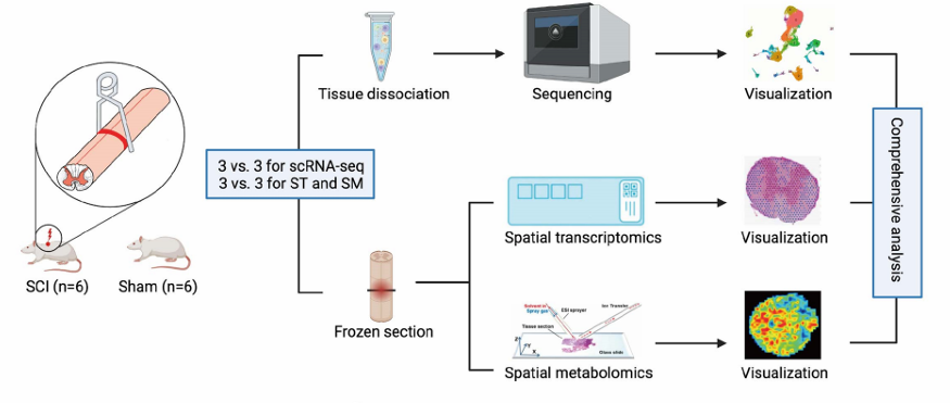 6390589658856070272629254
