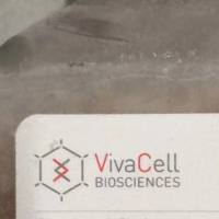 VivaCell货号C37B0-0150间充质干细胞成软骨分化染色试剂盒19121878899上海睿安生物VivaCell(原BI)官方正式授权代理商