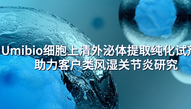 IF=10.7 | Umibio细胞上清外泌体提取纯化试剂盒助力客户类风湿关节炎研究！
