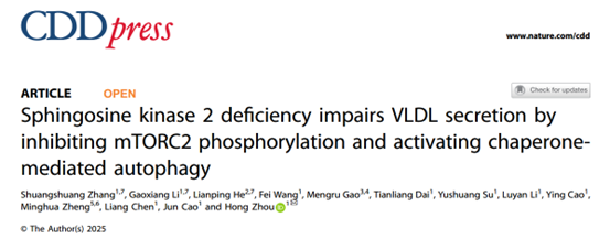 IF=13.7│破译肝脏脂质稳态新开关：SphK2通过调控分子伴侣介导的自噬平衡保障VLDL分泌
