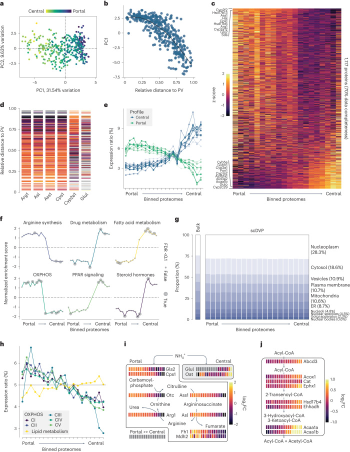 6390622568306036875095652