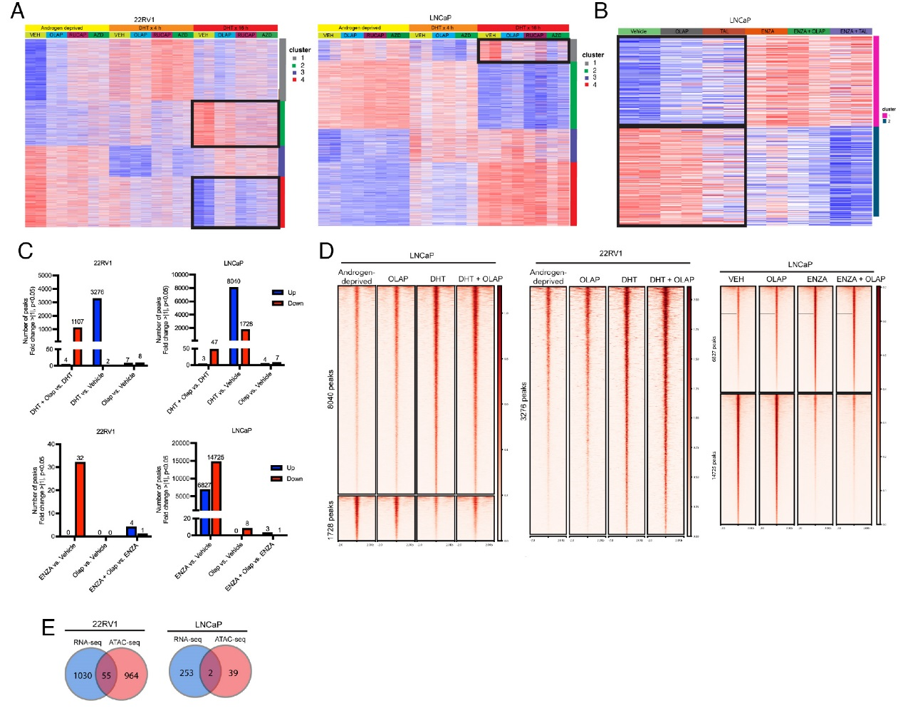 6390622531192848139744945
