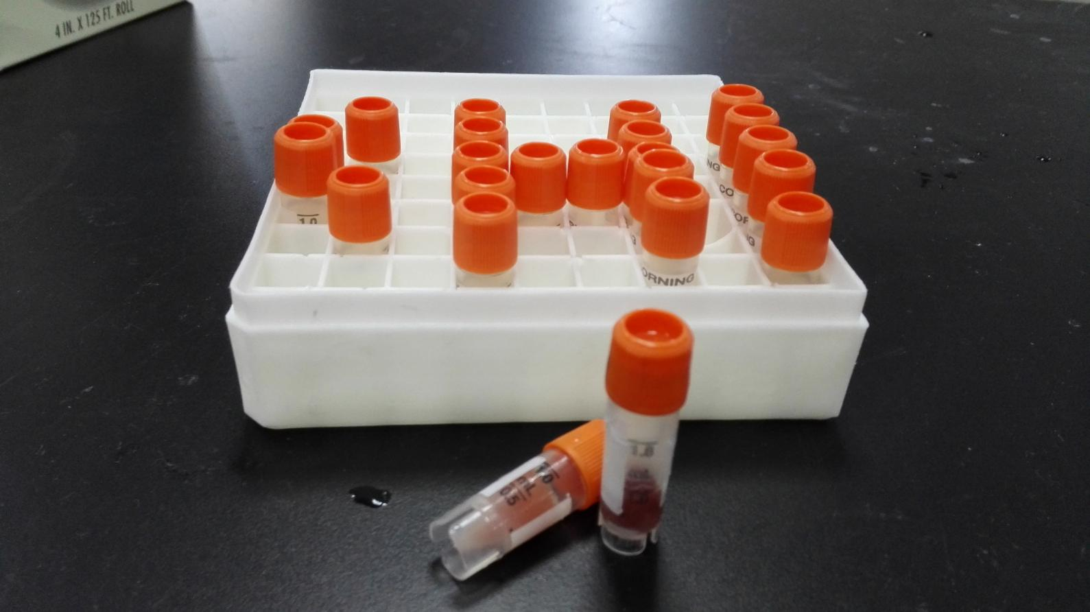 微粒体定制系列（七）——仓鼠肝微粒体Hamster Liver Microsomes