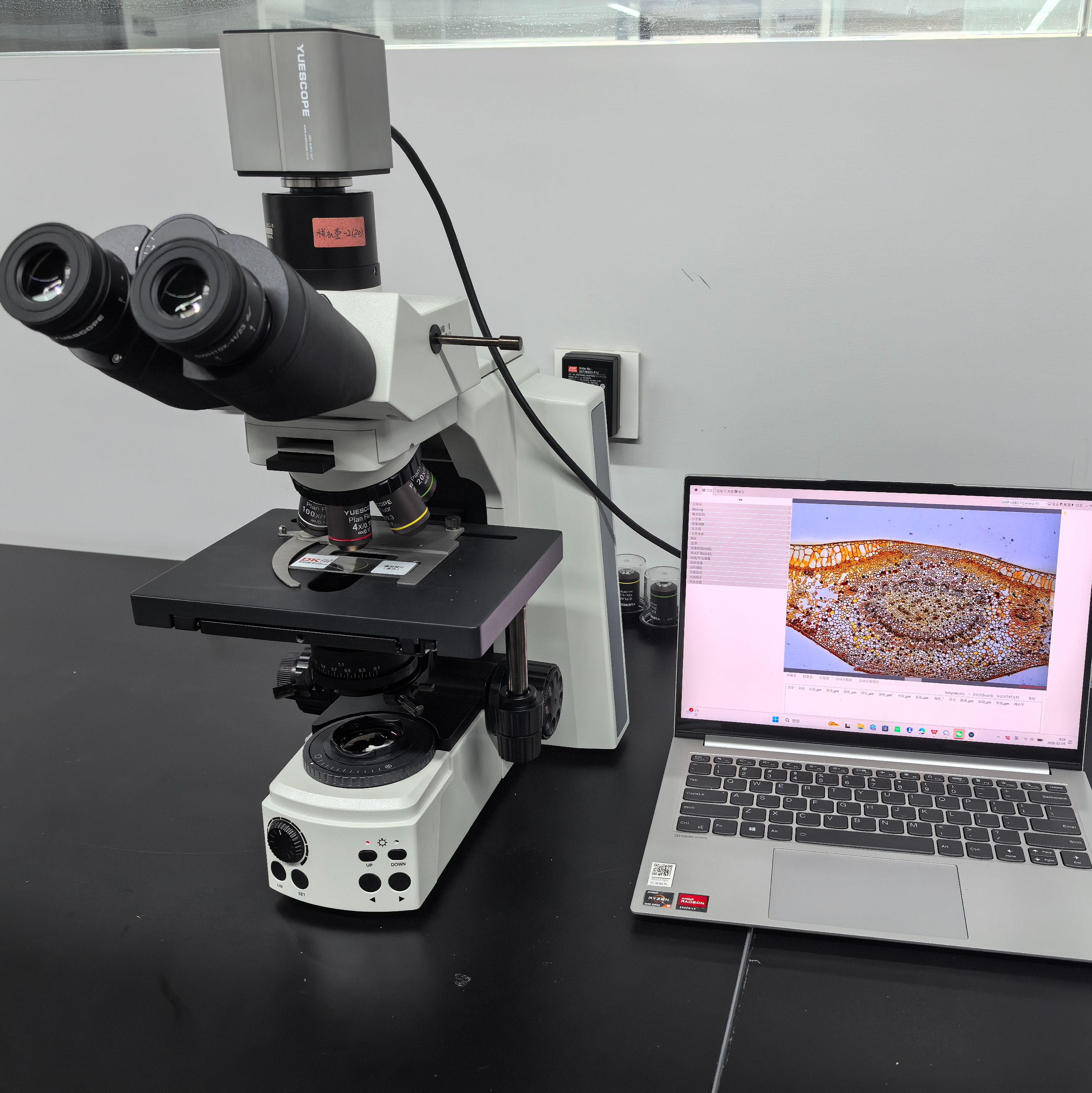 重庆荧光显微镜价格|YB530生物显微镜、荧光显微镜