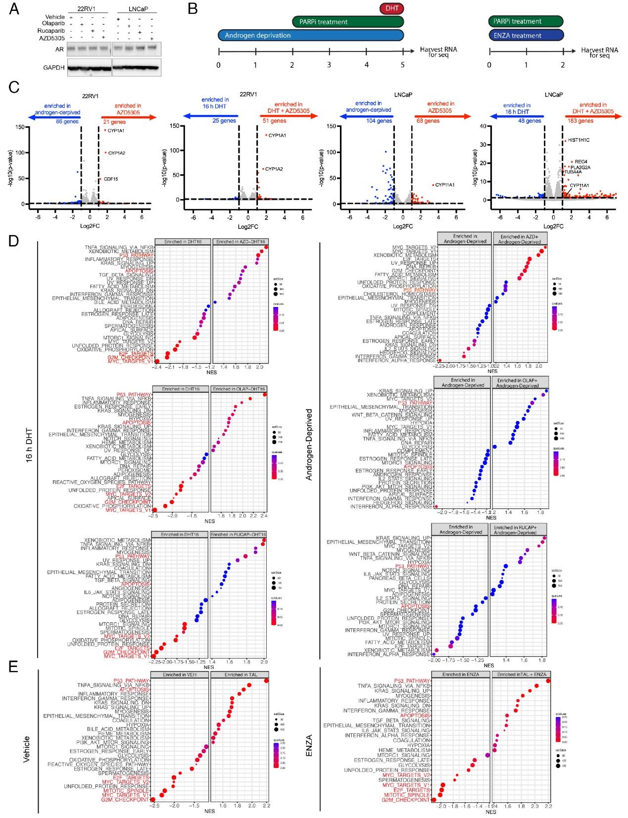 6390622529315349713275166