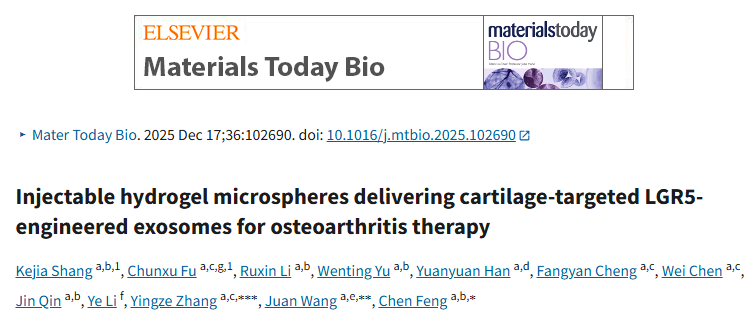 Mater Today Bio｜LGR5工程化外泌体+多组学解密软骨细胞周期重启与线粒体稳态，骨关节炎再生新范式！