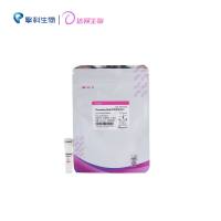 TSnanofect RNAi 专用转染试剂