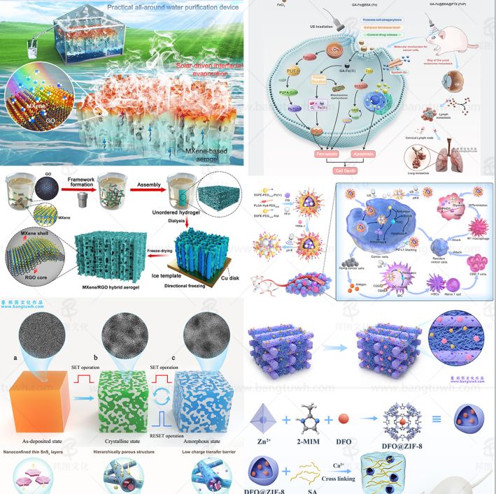 科研论文配图设计