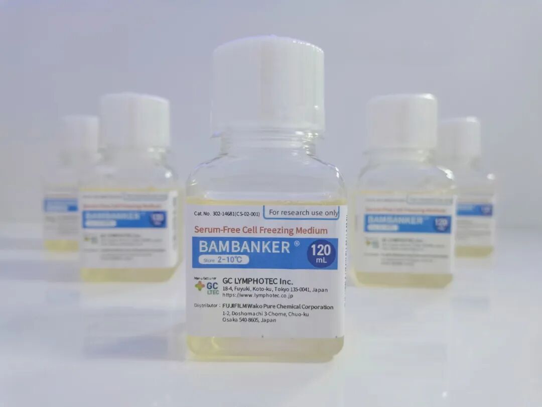 无血清细胞冻存液：告别批次差异，迈向精准细胞保存时代