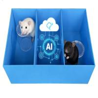 AI三箱社交精细行为分析系统