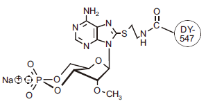 1216260683028595.png 1216260683028595.png