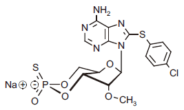 1216260681513290.png 1216260681513290.png