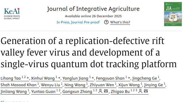 ApogeeFlow纳米流式仪文章分享,哈尔滨兽研所发表 “Generation of a replication-defective rift valley fever virus and development of a single virus quantum dot tracking platform” 报告