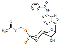 1216260681792340.png 22.png