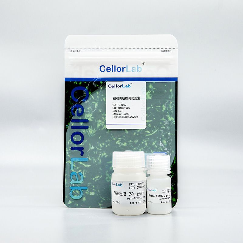 雅酶CX007 细胞周期检测试剂盒