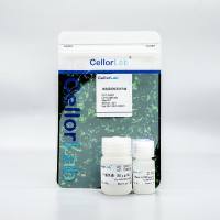 雅酶CX007 细胞周期检测试剂盒