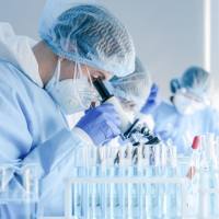 单链寡核苷酸（Oligo Pool） 引物池, 定制肽库, 抗体突变文库定制服务-卡梅德生物