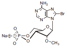 1216260680821133.png 1216260680821133.png