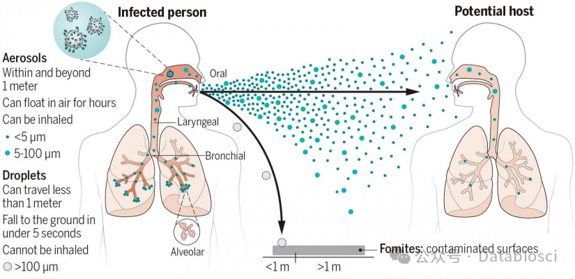 17省进入流感高流行：趋势研判与暴露科学视角