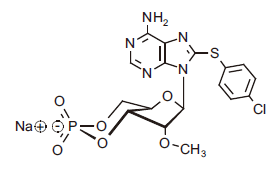 1216260681077538.png 1216260681077538.png