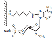 1216260682369610.png 1111.png