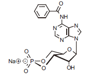 1216260681715332.png 11.png