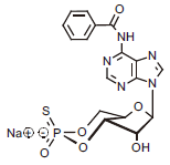 1216260681949303.png 33.png