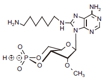 1216260682183529.png 1216260682183529.png