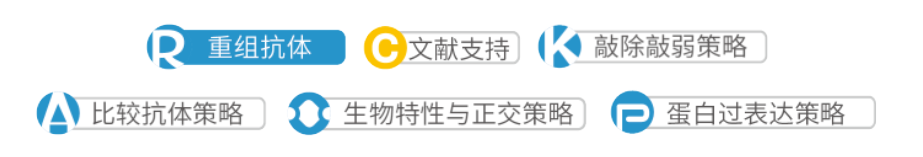 抗体验证 抗体验证